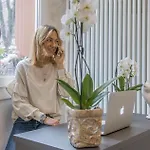 Le Stanze Dei Fiori
