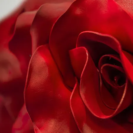 Le Stanze Dei Fiori 3*