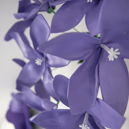 Gæstehus Le Stanze Dei Fiori