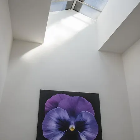 Le Stanze Dei Fiori