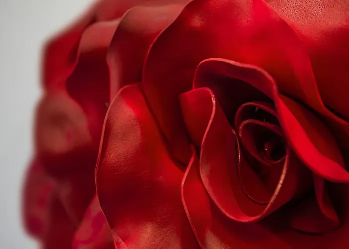 Le Stanze Dei Fiori 3*