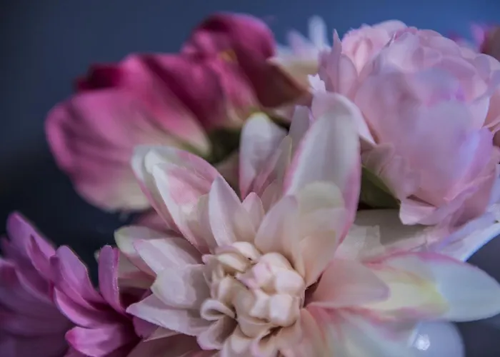 Le Stanze Dei Fiori 3* Bolonha