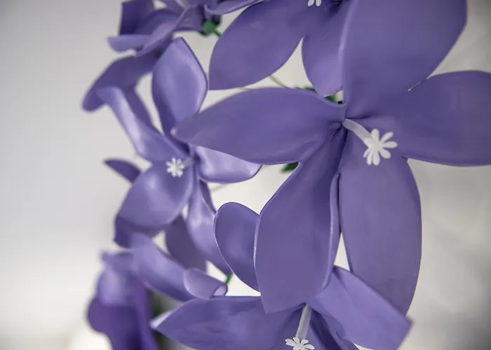 게스트하우스 Le Stanze Dei Fiori