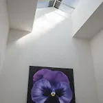 Le Stanze Dei Fiori