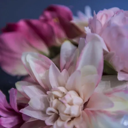 Le Stanze Dei Fiori 3* Bolonha