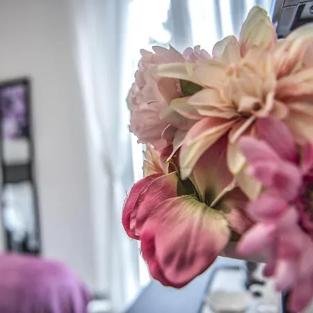 Le Stanze Dei Fiori Bolonha