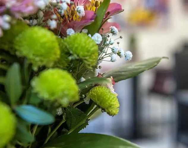Le Stanze Dei Fiori