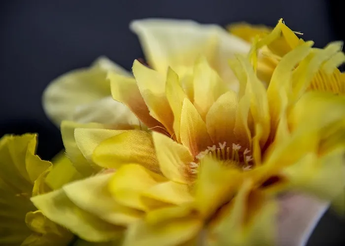 Le Stanze Dei Fiori 게스트하우스 볼로냐