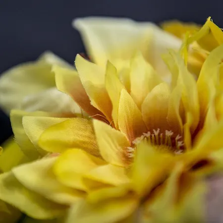 Le Stanze Dei Fiori Pensjonat Bolonia